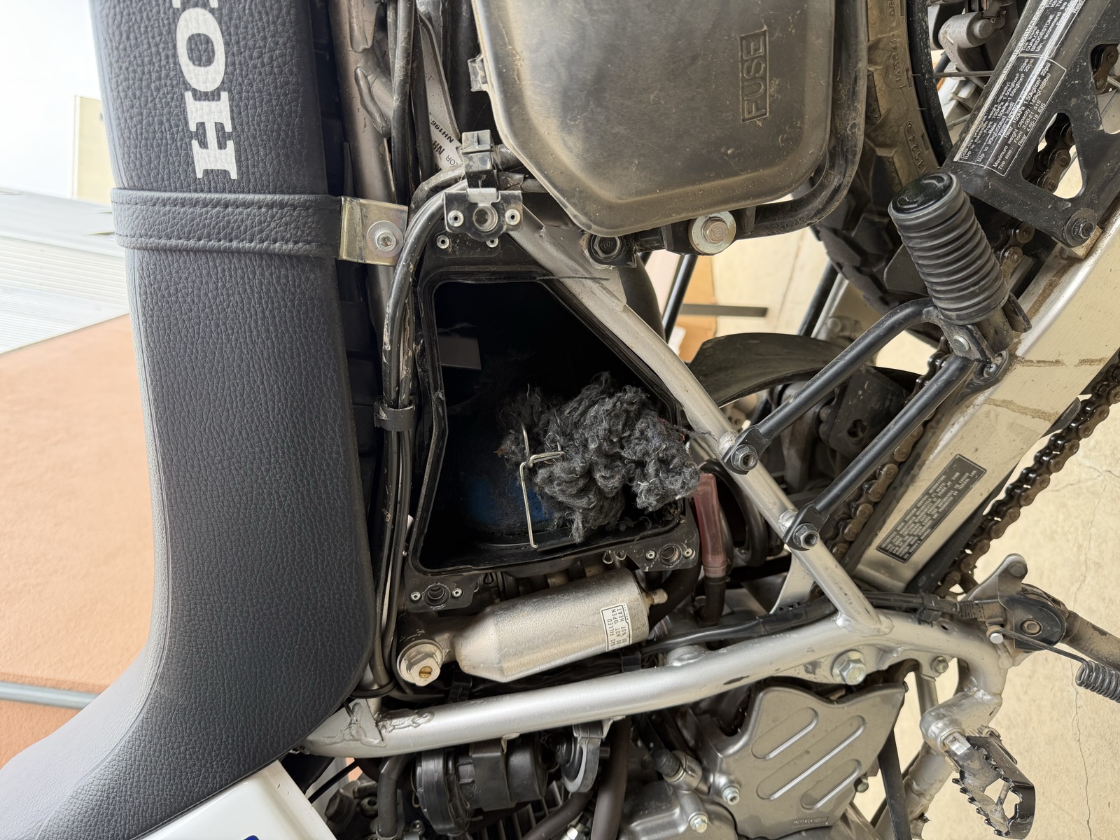 A mouse nest in the airbox