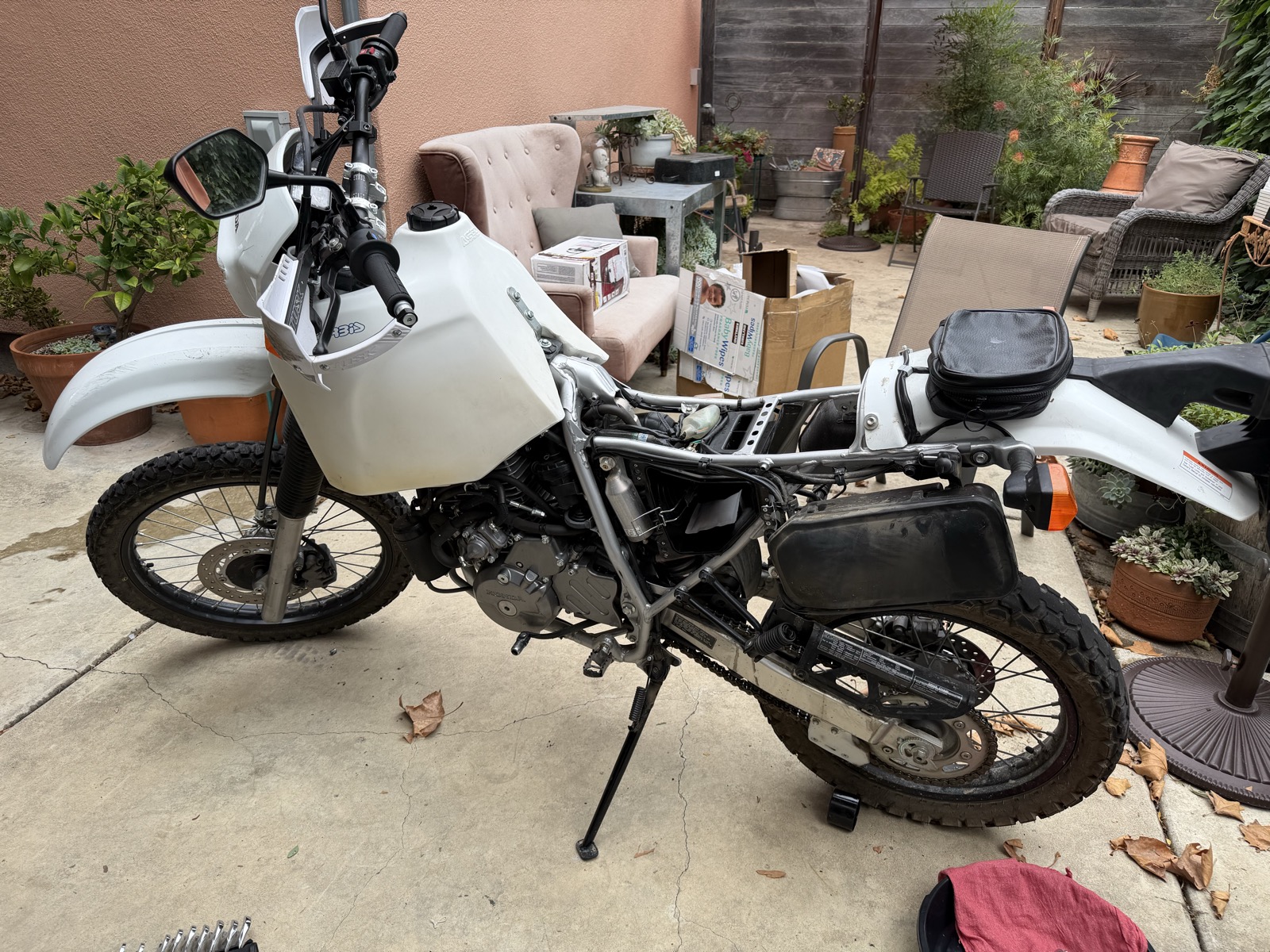 The bike with the new tank in place